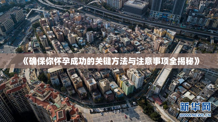 《确保你怀孕成功的关键方法与注意事项全揭秘》