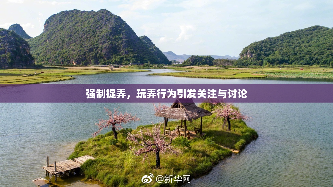 强制捉弄，玩弄行为引发关注与讨论