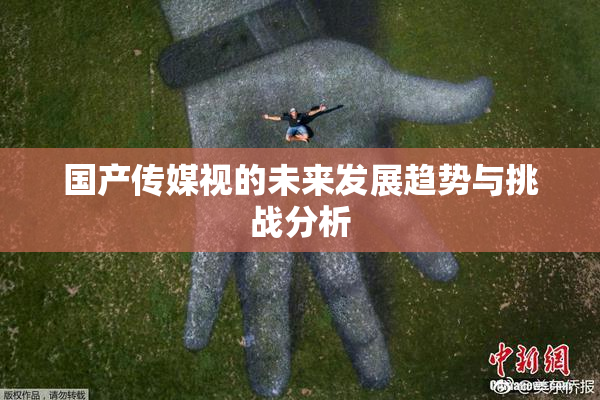 国产传媒视的未来发展趋势与挑战分析