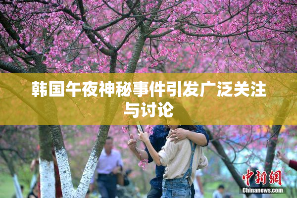 韩国午夜神秘事件引发广泛关注与讨论