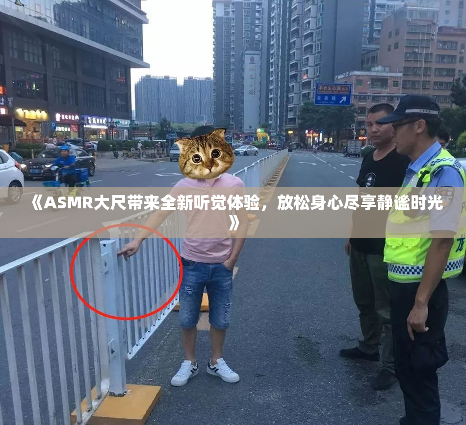 《ASMR大尺带来全新听觉体验，放松身心尽享静谧时光》