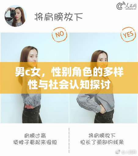 男c女，性别角色的多样性与社会认知探讨