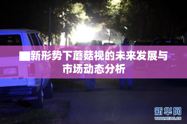 ▇新形势下蘑菇视的未来发展与市场动态分析