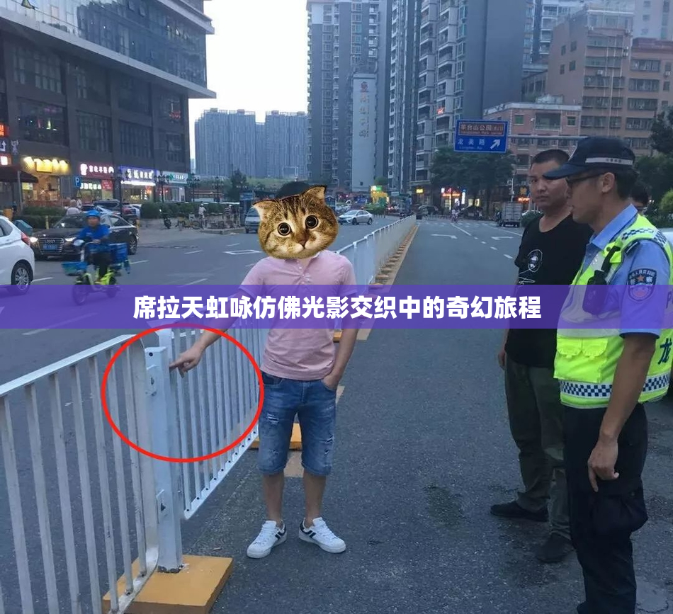 席拉天虹咏仿佛光影交织中的奇幻旅程