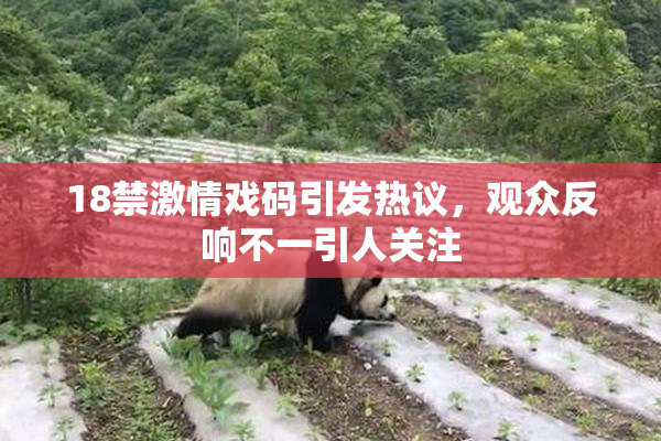 18禁激情戏码引发热议，观众反响不一引人关注