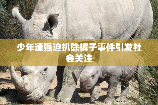 少年遭强迫扒除裤子事件引发社会关注