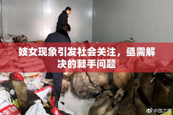 妓女现象引发社会关注，亟需解决的棘手问题