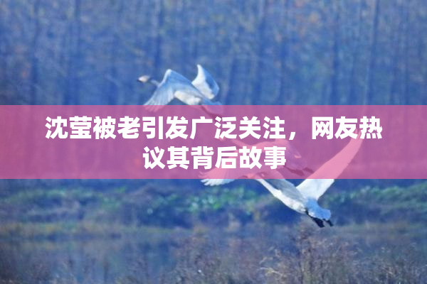 沈莹被老引发广泛关注，网友热议其背后故事