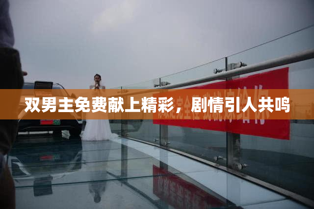 双男主免费献上精彩，剧情引人共鸣