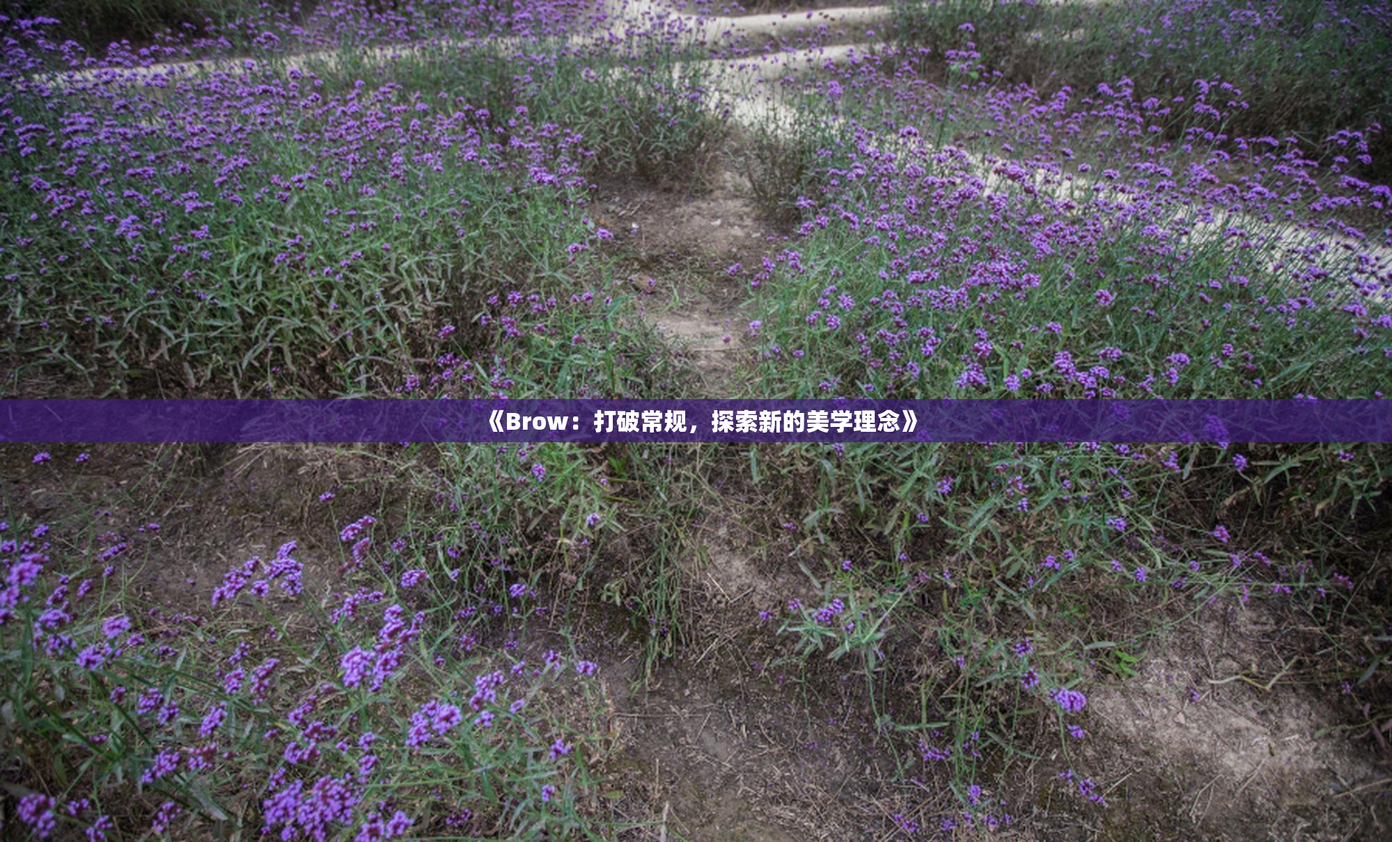 《Brow：打破常规，探索新的美学理念》