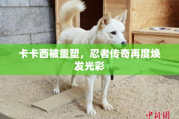 卡卡西被重塑，忍者传奇再度焕发光彩