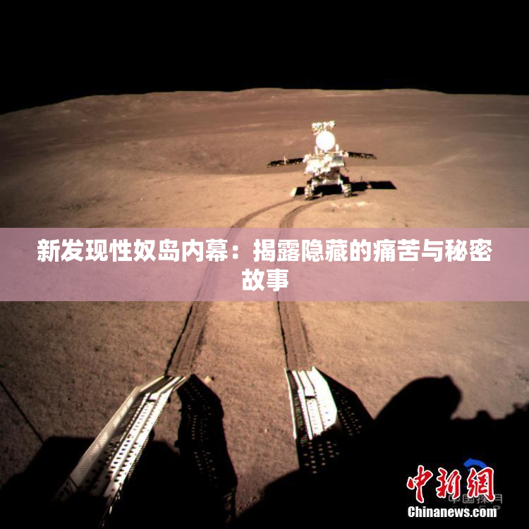 新发现性奴岛内幕：揭露隐藏的痛苦与秘密故事