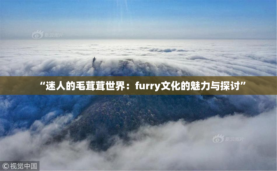 “迷人的毛茸茸世界：furry文化的魅力与探讨”
