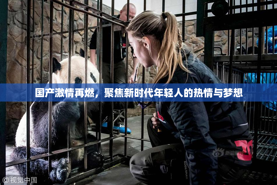 国产激情再燃，聚焦新时代年轻人的热情与梦想