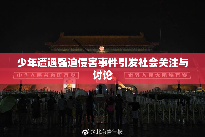 少年遭遇强迫侵害事件引发社会关注与讨论