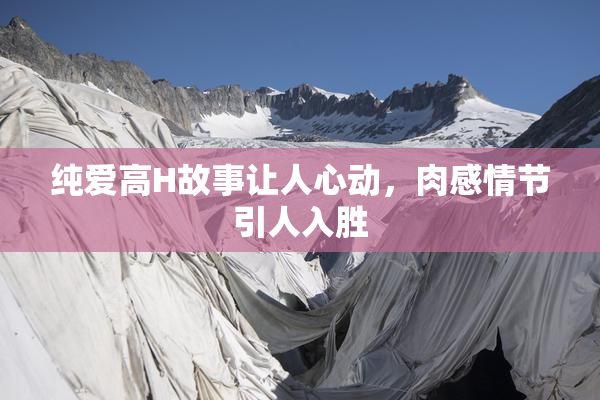 纯爱高H故事让人心动，肉感情节引人入胜