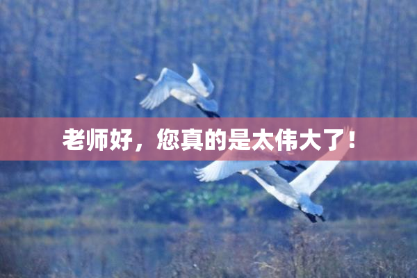 老师好，您真的是太伟大了！
