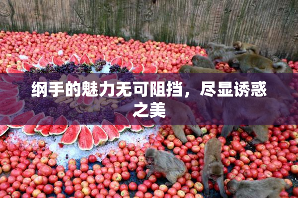 纲手的魅力无可阻挡，尽显诱惑之美