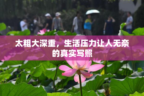太粗大深重，生活压力让人无奈的真实写照