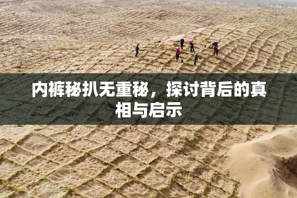 内裤秘扒无重秘，探讨背后的真相与启示