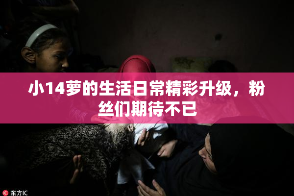 小14萝的生活日常精彩升级，粉丝们期待不已