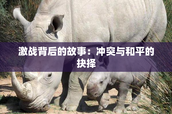 激战背后的故事：冲突与和平的抉择