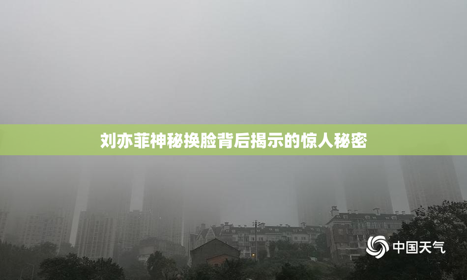 刘亦菲神秘换脸背后揭示的惊人秘密