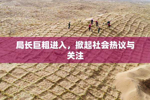 局长巨粗进入，掀起社会热议与关注