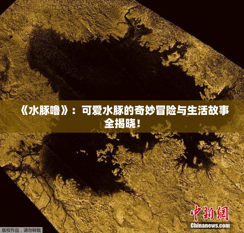 《水豚噜》：可爱水豚的奇妙冒险与生活故事全揭晓！