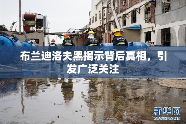 布兰迪洛夫黑揭示背后真相，引发广泛关注
