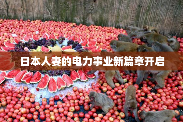 日本人妻的电力事业新篇章开启