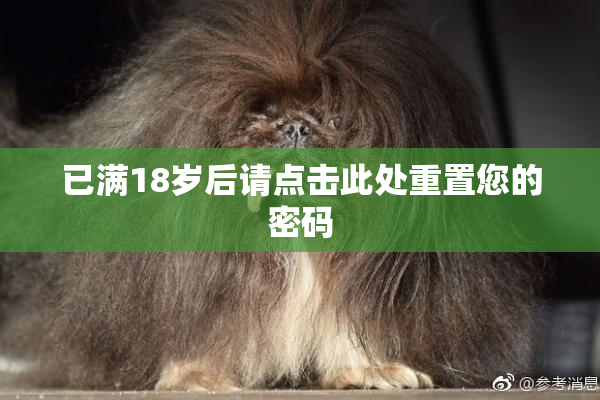 已满18岁后请点击此处重置您的密码