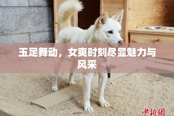玉足舞动，女爽时刻尽显魅力与风采