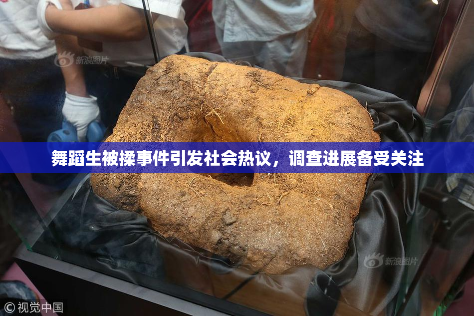 舞蹈生被揉事件引发社会热议，调查进展备受关注
