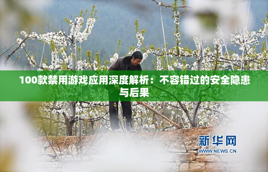100款禁用游戏应用深度解析：不容错过的安全隐患与后果