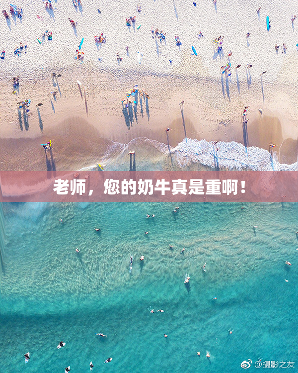 老师，您的奶牛真是重啊！