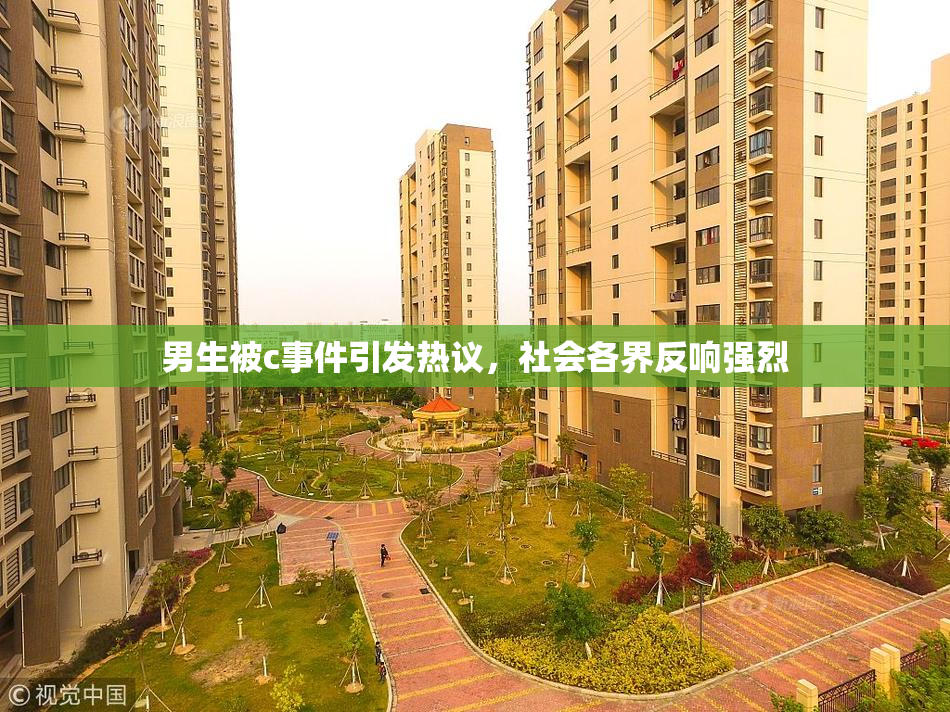 男生被c事件引发热议，社会各界反响强烈