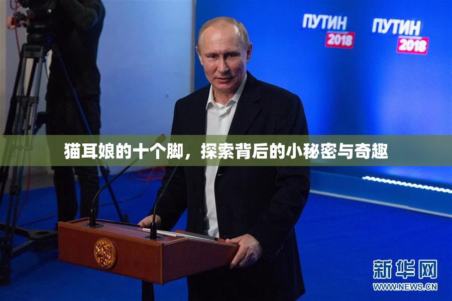 猫耳娘的十个脚，探索背后的小秘密与奇趣