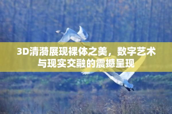 3D清漪展现裸体之美，数字艺术与现实交融的震撼呈现