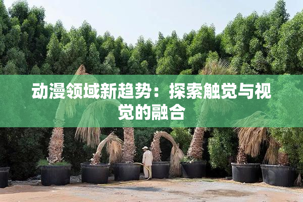 动漫领域新趋势：探索触觉与视觉的融合
