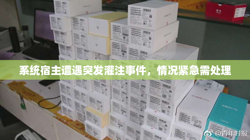 系统宿主遭遇突发灌注事件，情况紧急需处理