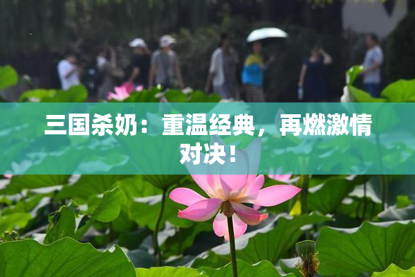 三国杀奶：重温经典，再燃激情对决！