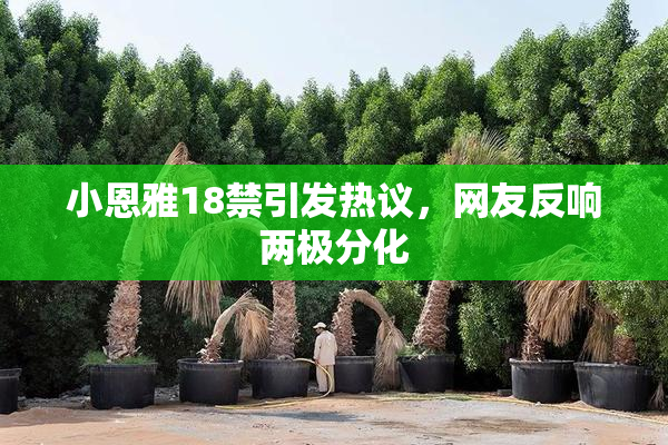 小恩雅18禁引发热议，网友反响两极分化
