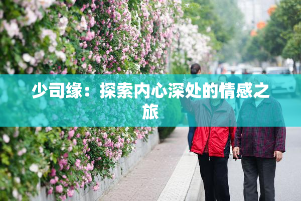 少司缘：探索内心深处的情感之旅