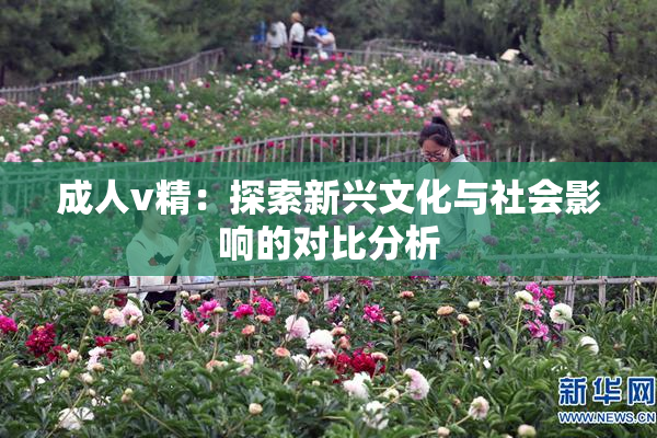 成人v精：探索新兴文化与社会影响的对比分析