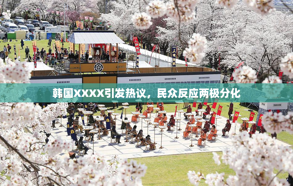 韩国XXXX引发热议，民众反应两极分化