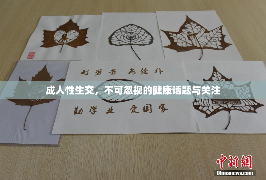 成人性生交，不可忽视的健康话题与关注