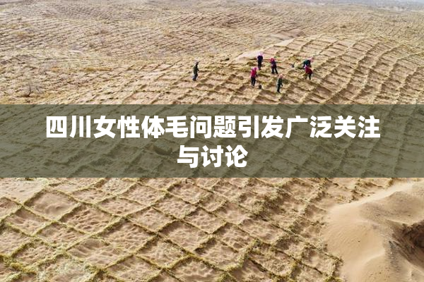 四川女性体毛问题引发广泛关注与讨论