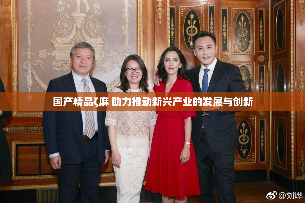 国产精品ζ麻 助力推动新兴产业的发展与创新