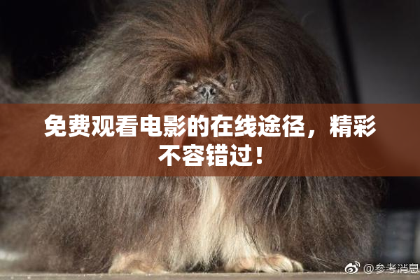 免费观看电影的在线途径，精彩不容错过！